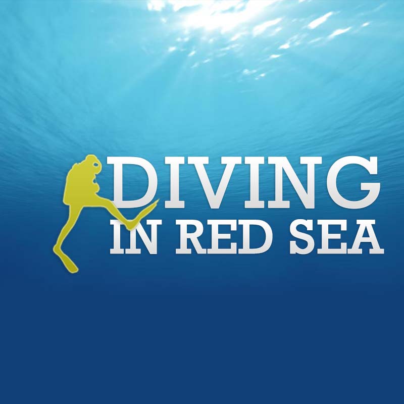 diving in red sea